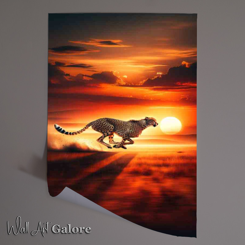 Buy Unframed Poster : (Sunset Mirage Cheetahs Savanna Sprint)