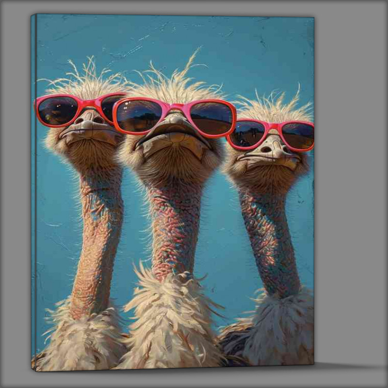 Buy Canvas : (Three ostriches sitting in the sun)