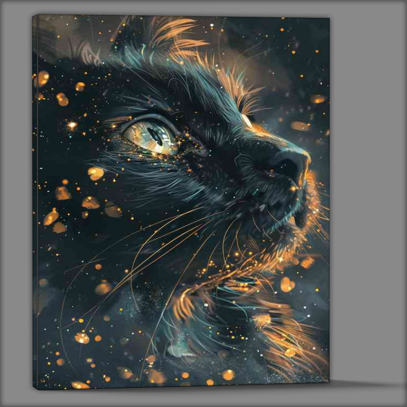 Buy Canvas : (Black Cat Gold Stars)