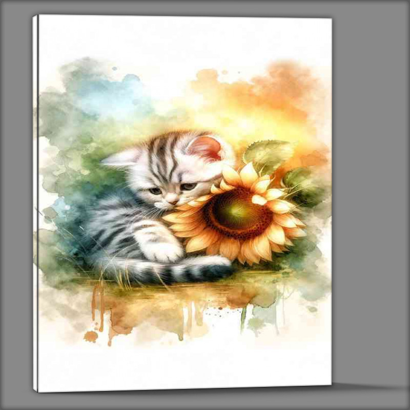 Buy Canvas : (Kitten snuggling a sunflower)