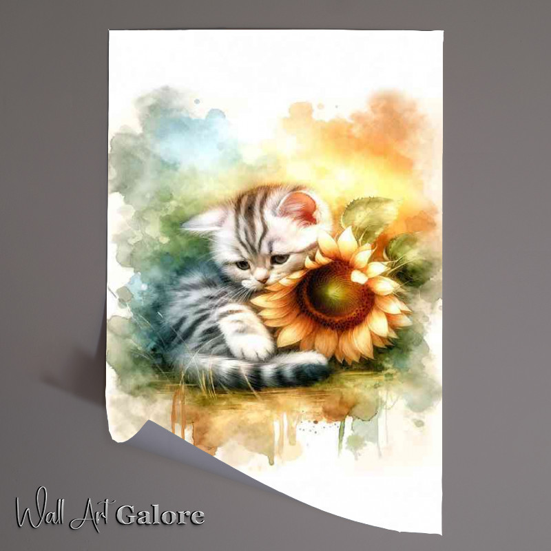 Buy Unframed Poster : (Kitten snuggling a sunflower)