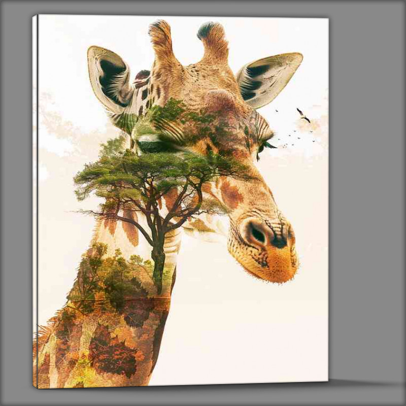 Buy Canvas : (Giraffes head on the african survanna)