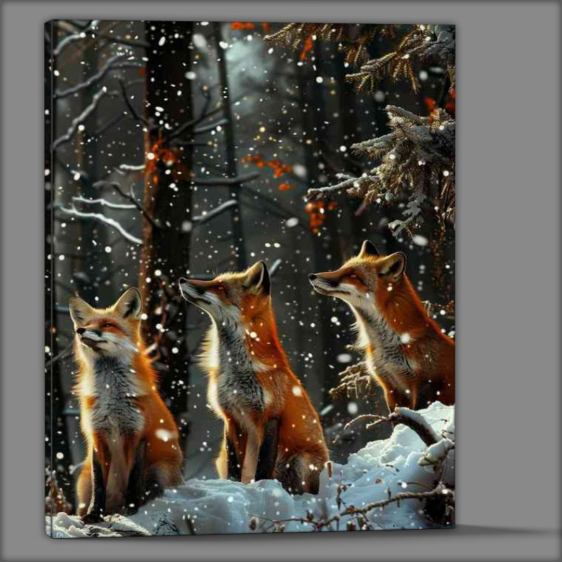 Buy Canvas : (Three foxes standing in the snow)