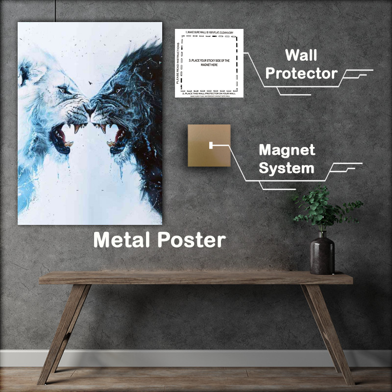 Buy Metal Poster : (White and black Tigers facing off)
