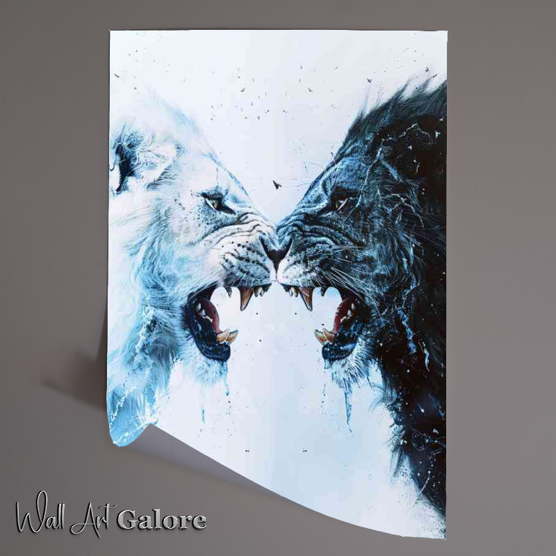 Buy Unframed Poster : (White and black Tigers facing off)