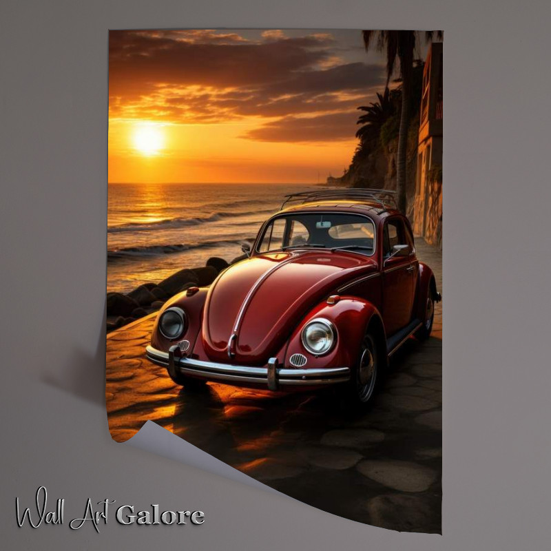 Buy Unframed Poster : (Red Beetle at sunset)