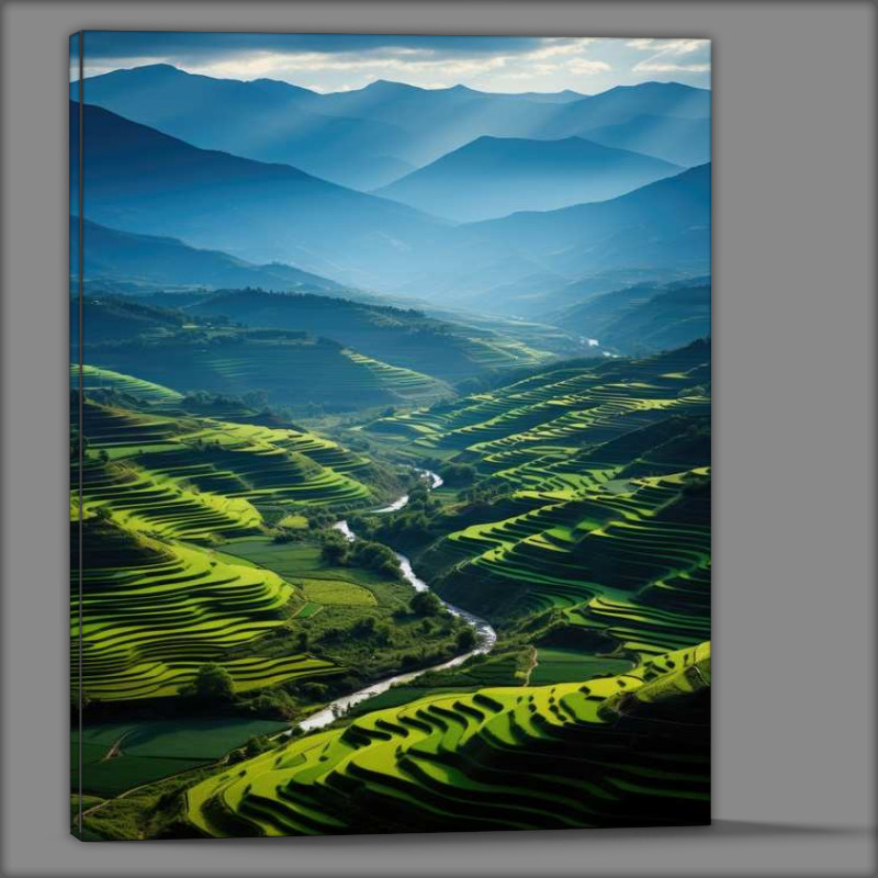 Buy Canvas : (Rice Fields with mountains)