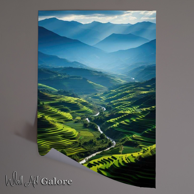 Buy Unframed Poster : (Rice Fields with mountains)
