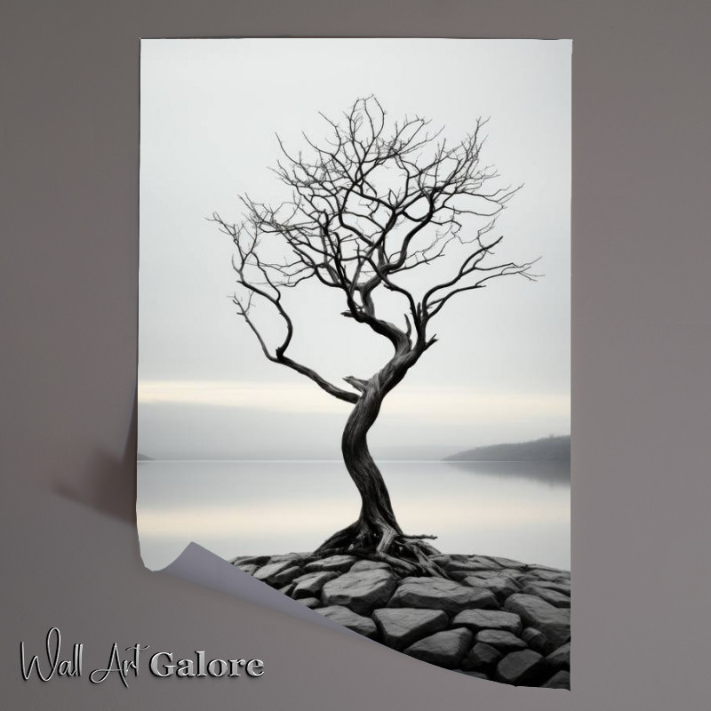 Buy Unframed Poster : (Abstract signle Tree black and white)