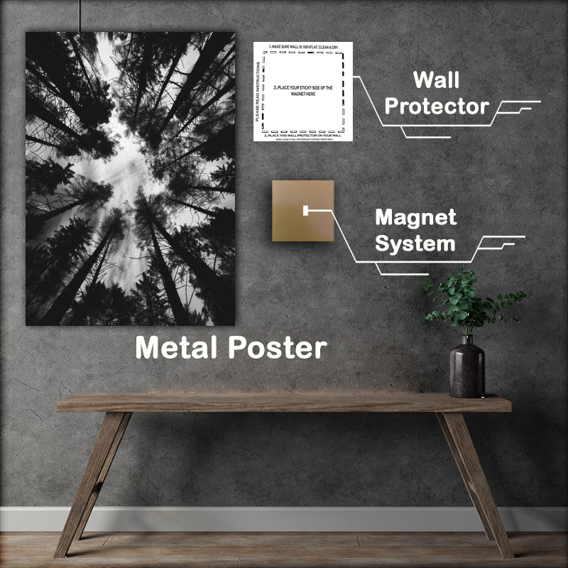 Buy Metal Poster : (Black and white photo of the silhouette of trees)