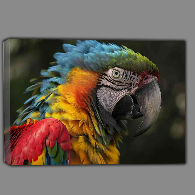 Buy Canvas : (Head shot of a colourful Parrot)