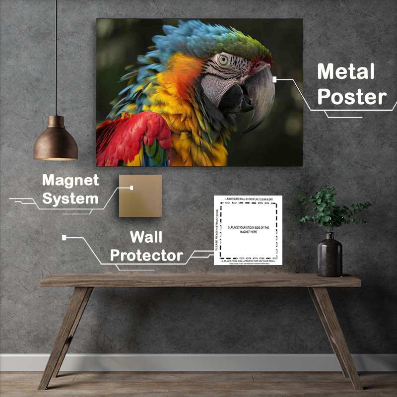 Buy Metal Poster : (Head shot of a colourful Parrot)