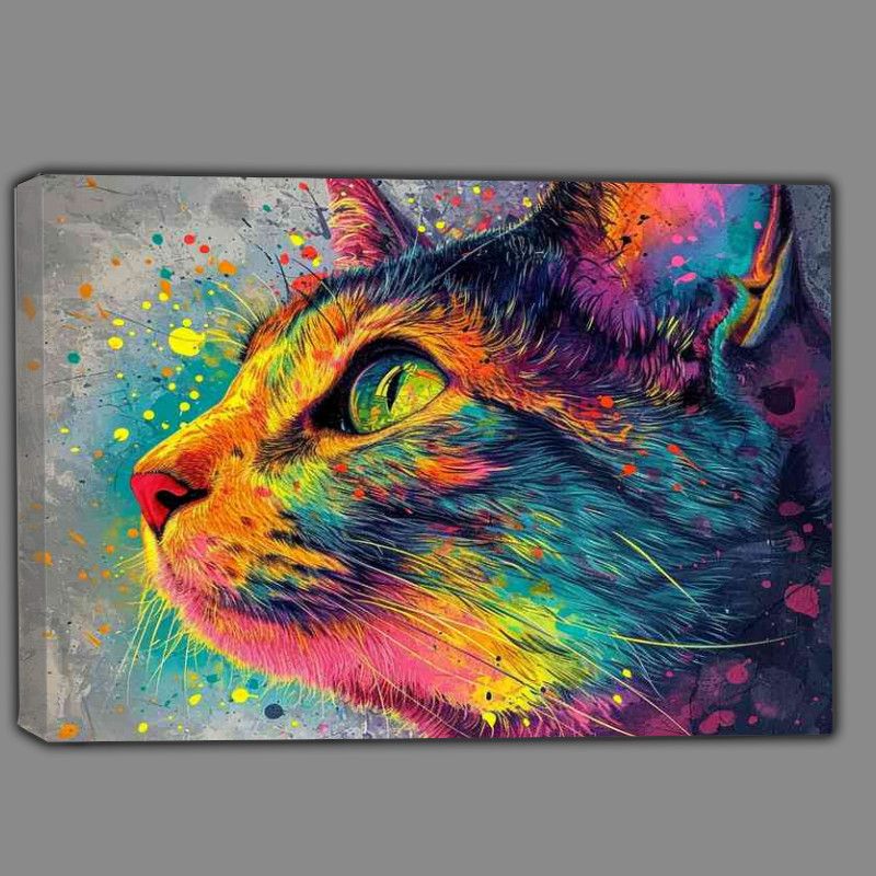 Buy Canvas : (Colourful cat gazing into the sky)