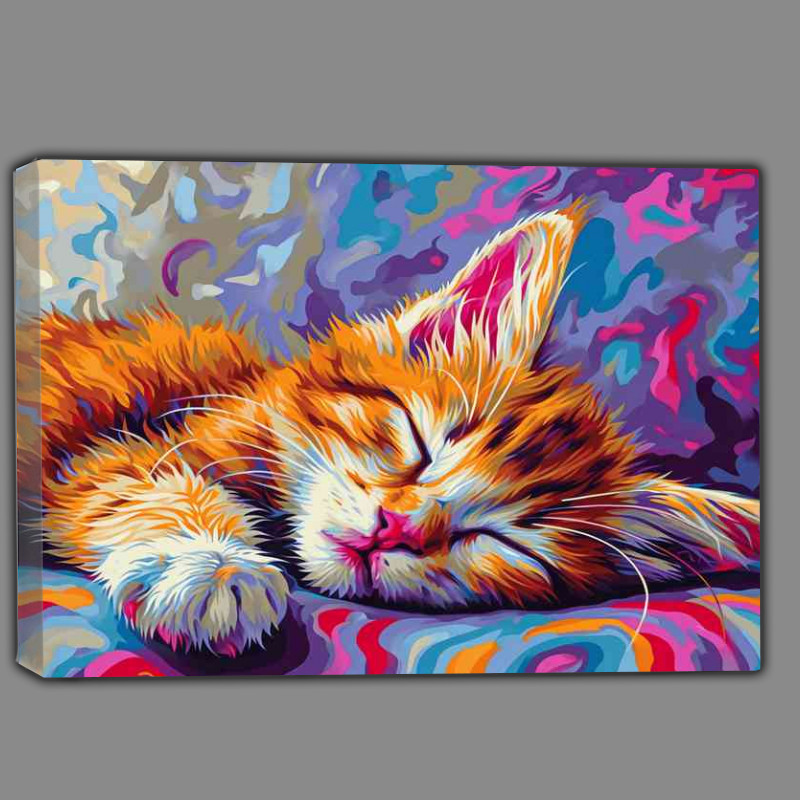 Buy Canvas : (Cute kitten sleeping)
