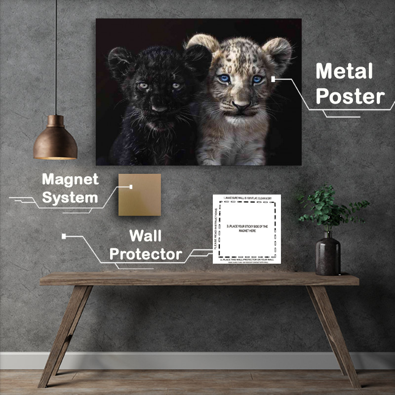 Buy Metal Poster : (Black Panther and white Lion cub cute)