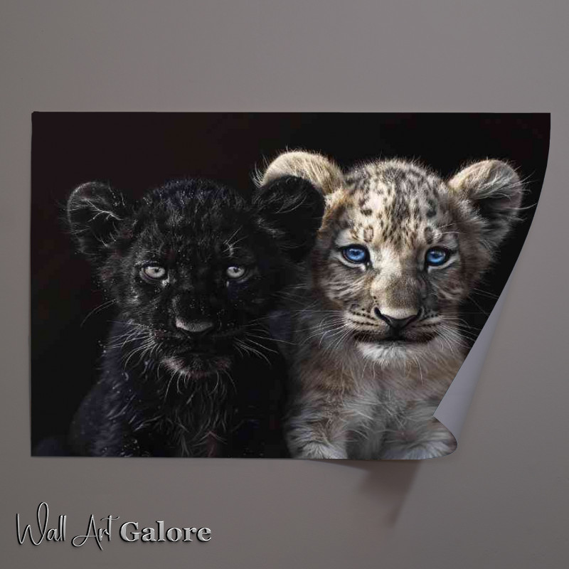 Buy Unframed Poster : (Black Panther and white Lion cub cute)