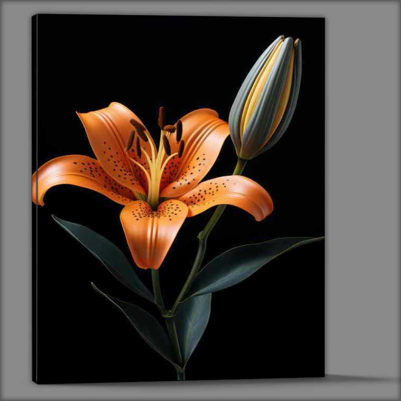 Buy Canvas : (A Snigle orange lilly)