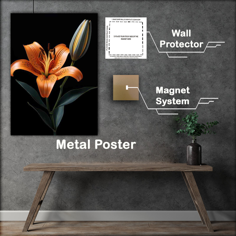 Buy Metal Poster : (A Snigle orange lilly)
