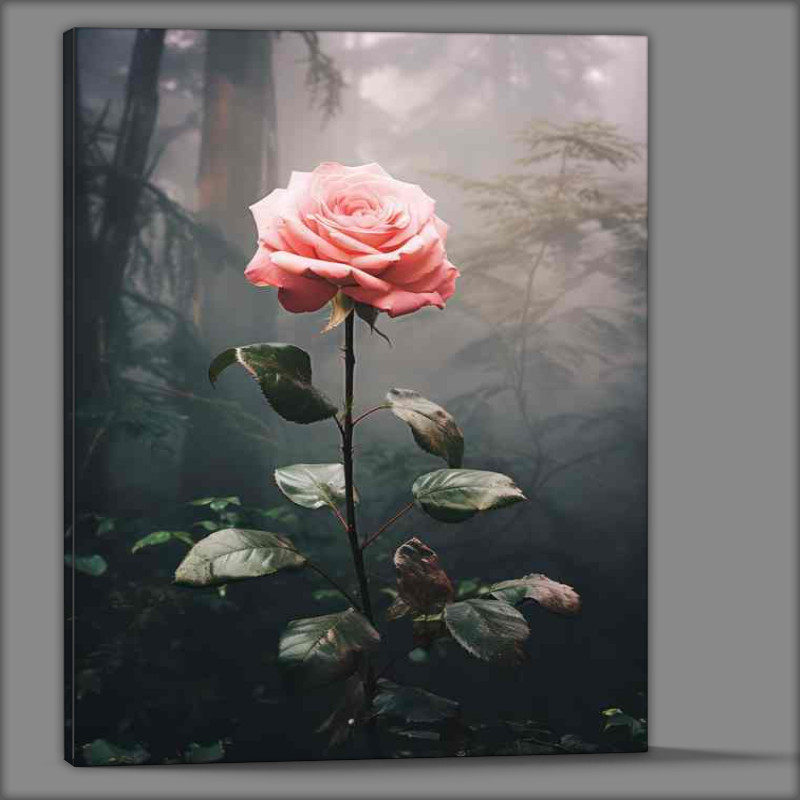 Buy Canvas : (A single pink fose growing in the garden)