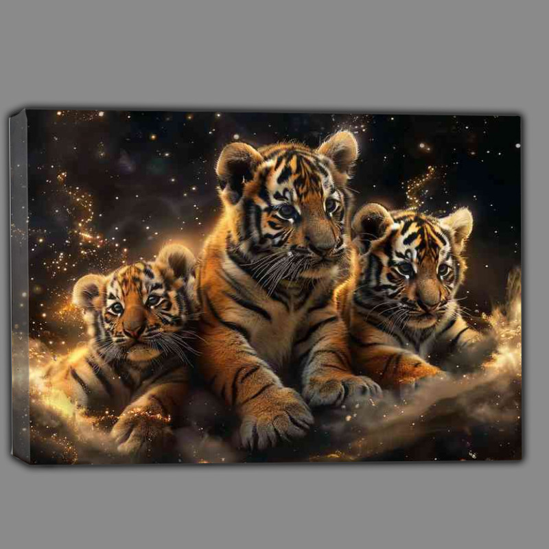 Buy Canvas : (Tiger cubs in golden light)