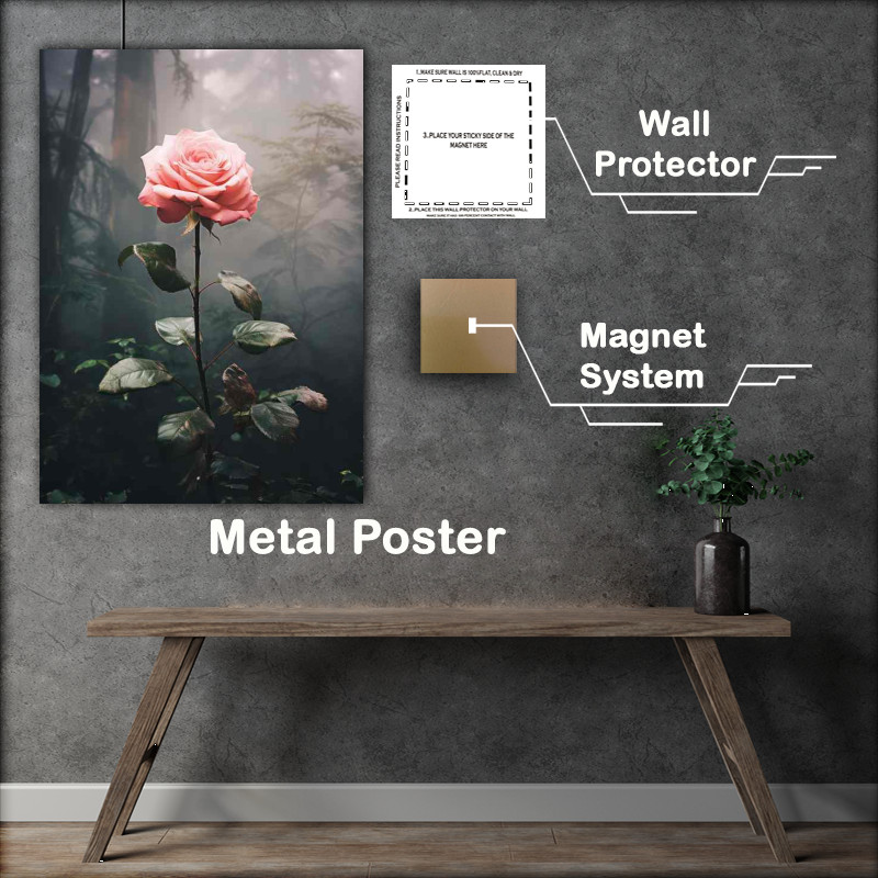 Buy Metal Poster : (A single pink fose growing in the garden)