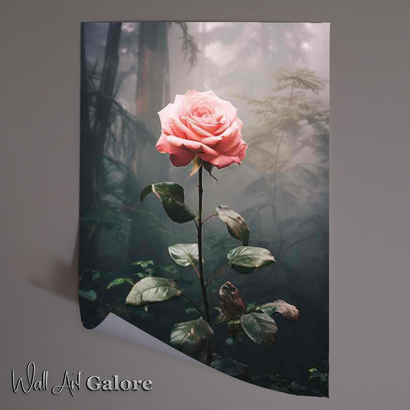 Buy Unframed Poster : (A single pink fose growing in the garden)