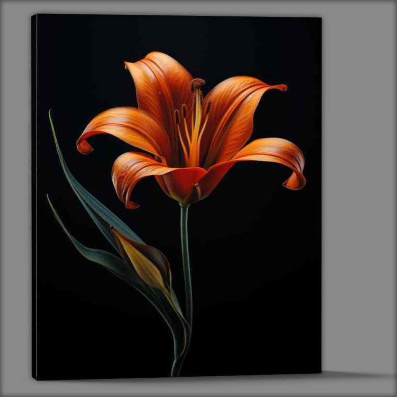 Buy Canvas : (Orange lily with black background)