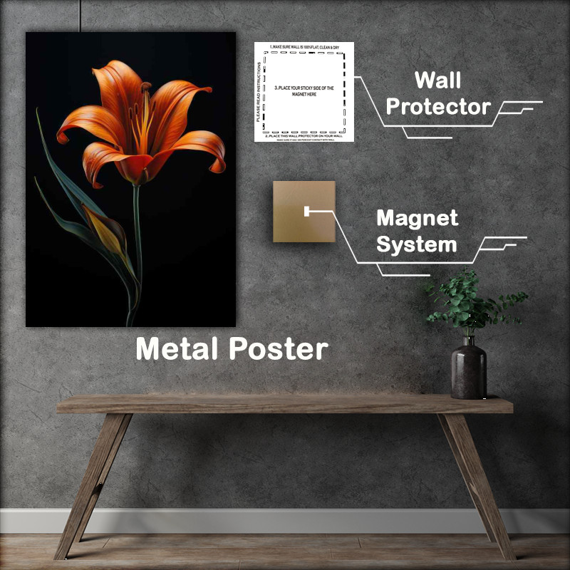 Buy Metal Poster : (Orange lily with black background)
