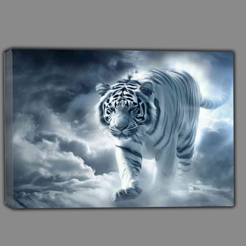 Buy Canvas : (White Tiger walking through the cloudy skys)