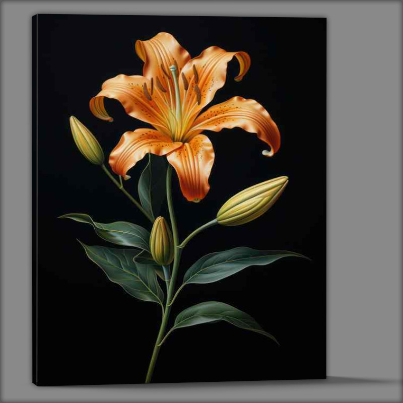 Buy Canvas : (orange lily with green leaves and black background)