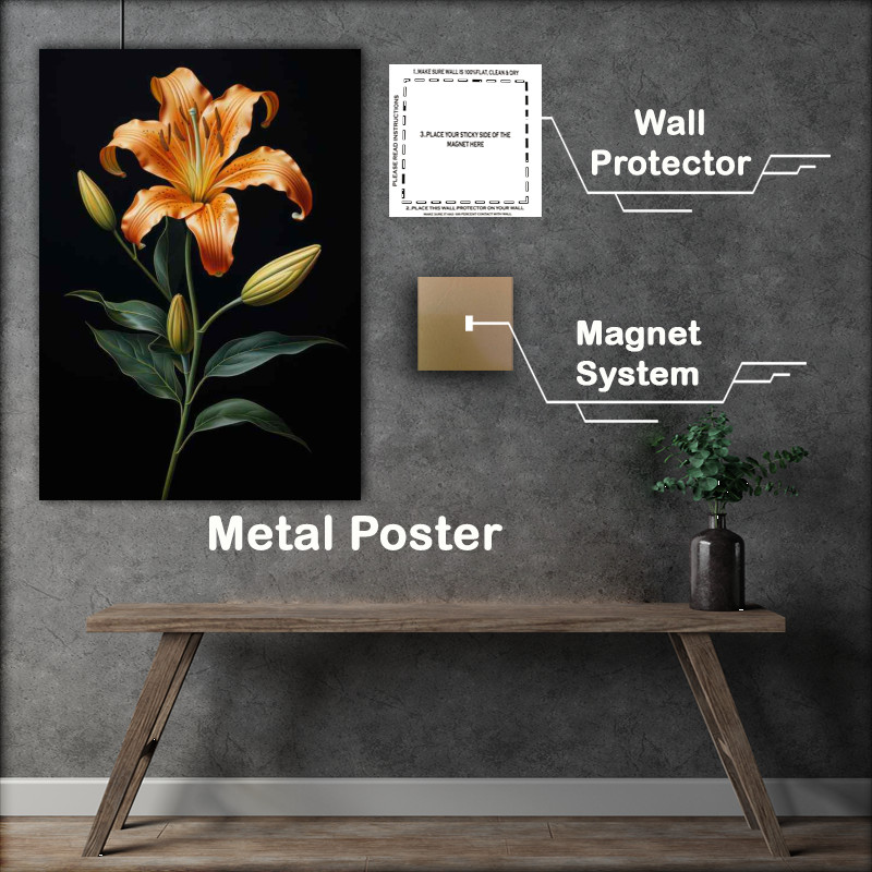 Buy Metal Poster : (orange lily with green leaves and black background)