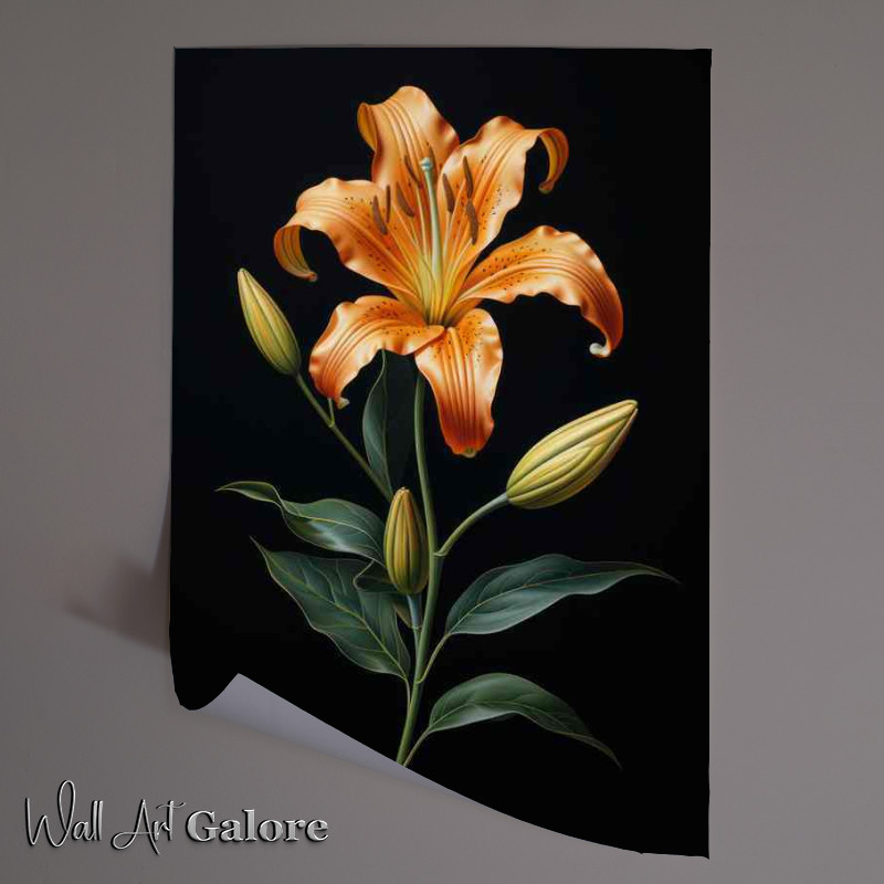 Buy Unframed Poster : (orange lily with green leaves and black background)