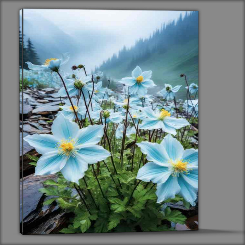 Buy Canvas : (pale blue mountain flowers)