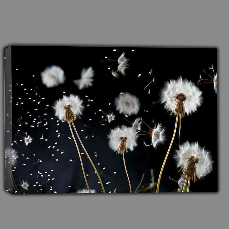 Buy Canvas : (white dandelion blowing in the breeeze)