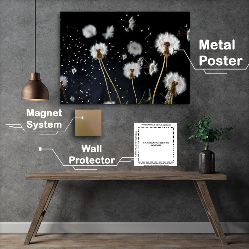 Buy Metal Poster : (white dandelion blowing in the breeeze)