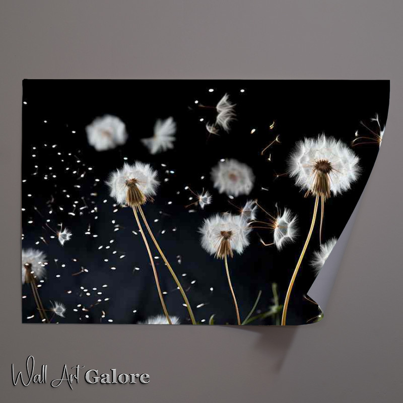 Buy Unframed Poster : (white dandelion blowing in the breeeze)