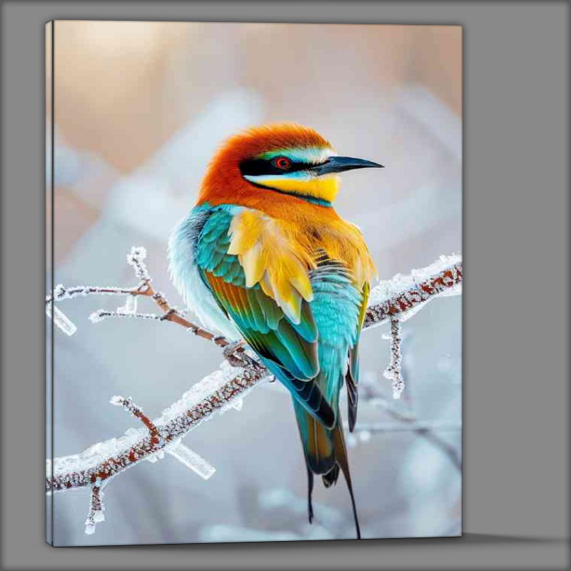 Buy Canvas : (Beautiful colours on a bird in the winter)