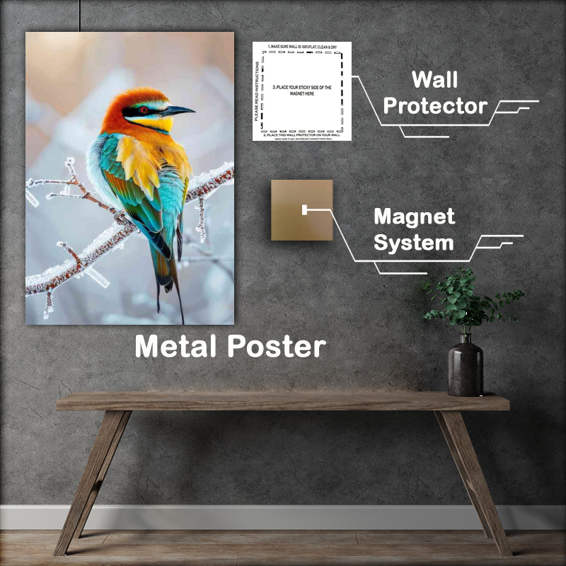 Buy Metal Poster : (Beautiful colours on a bird in the winter)