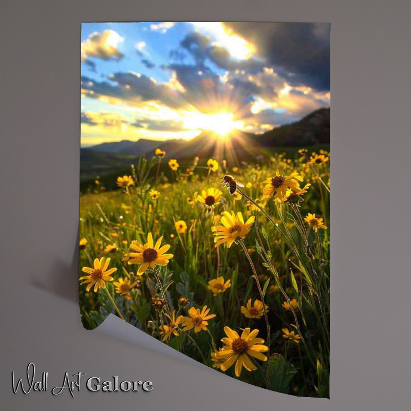 Buy Unframed Poster : (Bee on a yellow flowr in the sun)