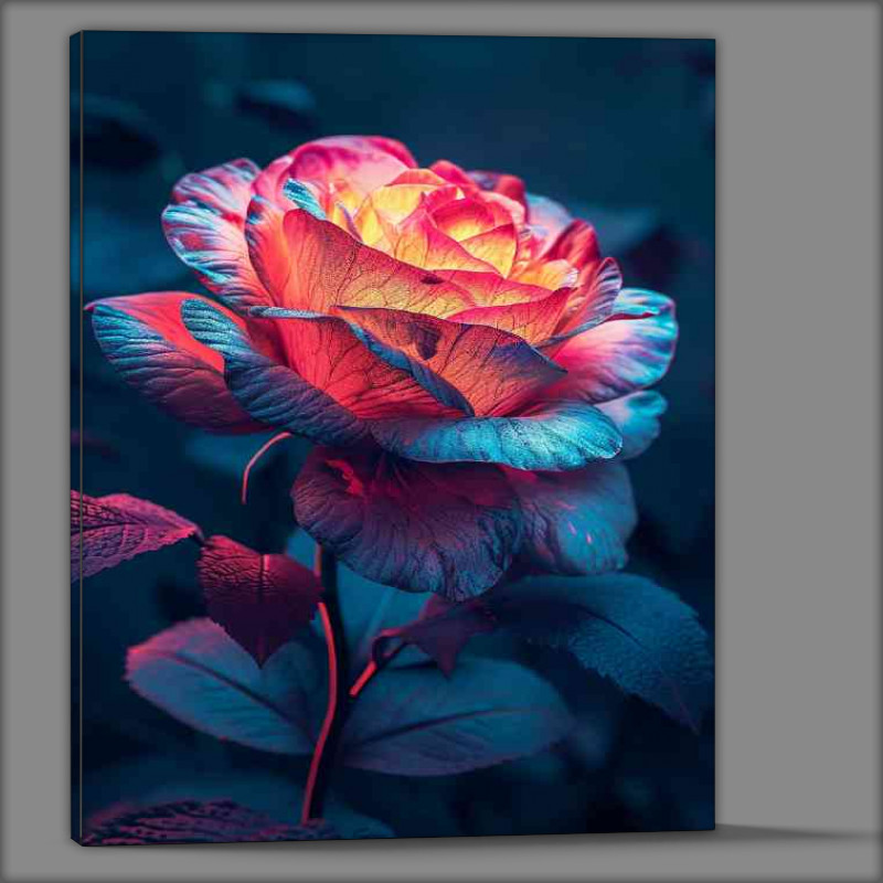 Buy Canvas : (Single colourful rose glowing)
