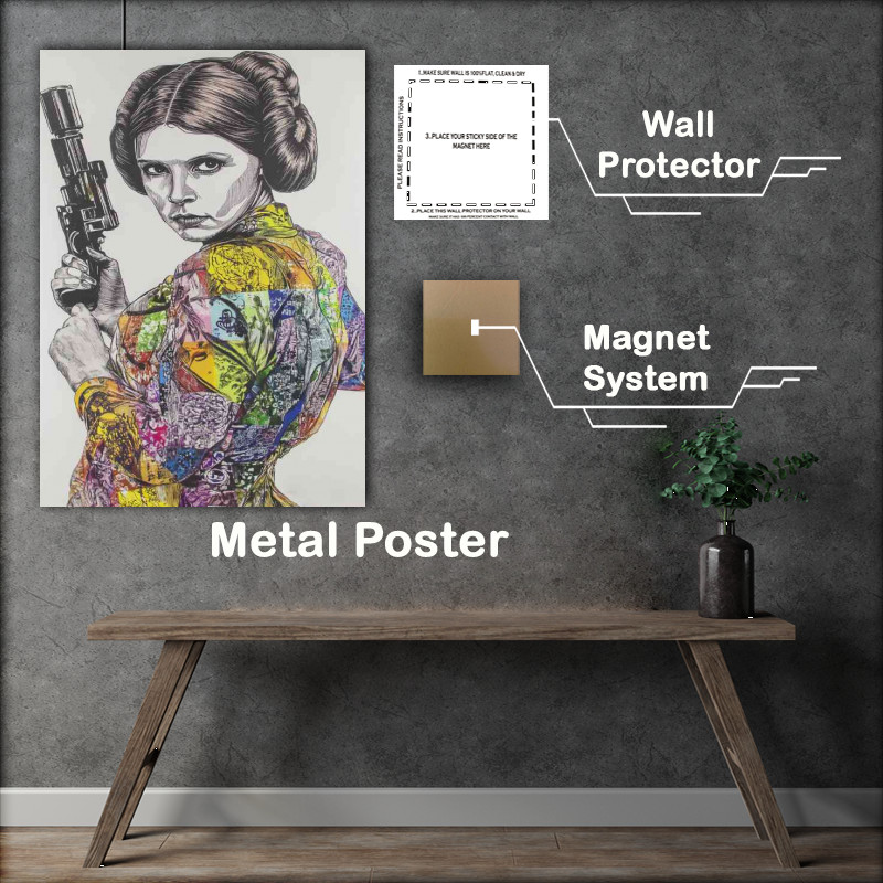Buy Metal Poster : (Pricess leai street graffiti dress)