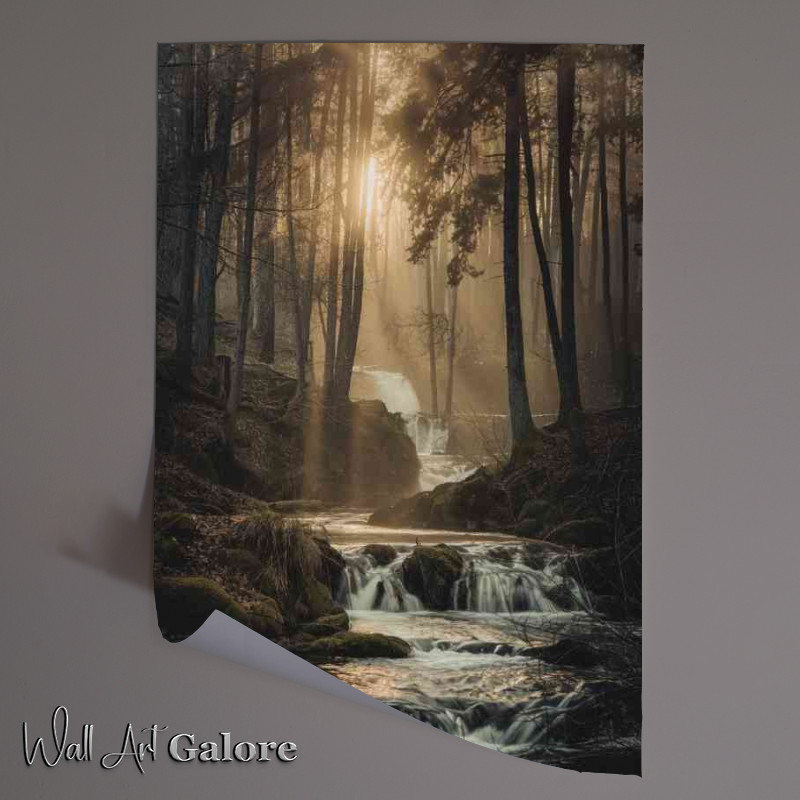 Buy Unframed Poster : (The forest scene with cascading flowing river)