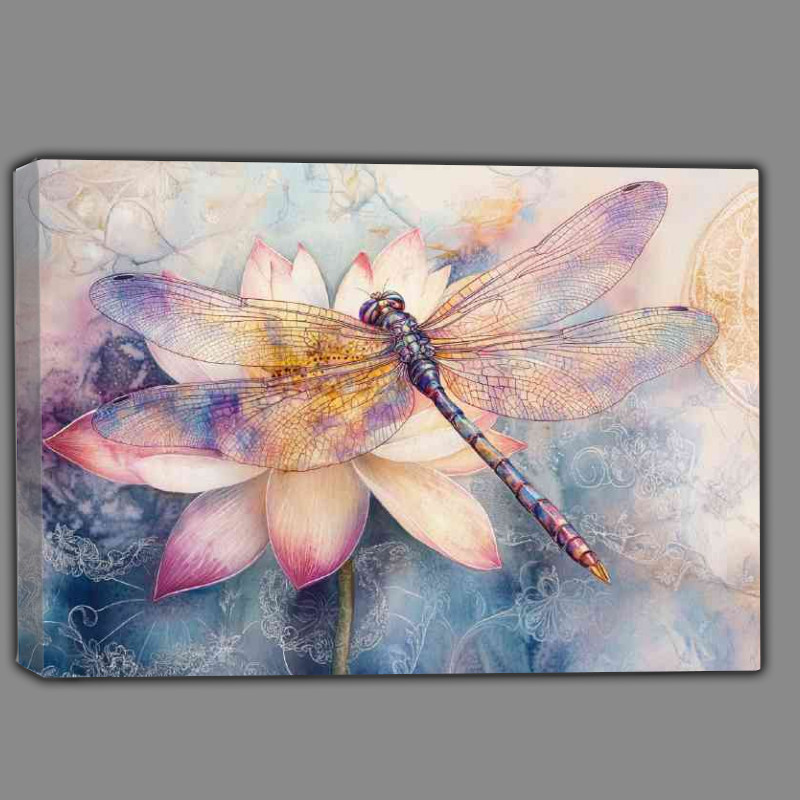 Buy Canvas : (Delicate dragonfly perched on the petal)
