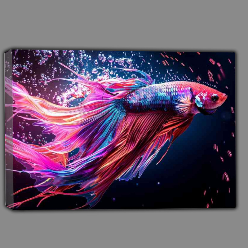 Buy Canvas : (Multicolored betta fish with its fins)