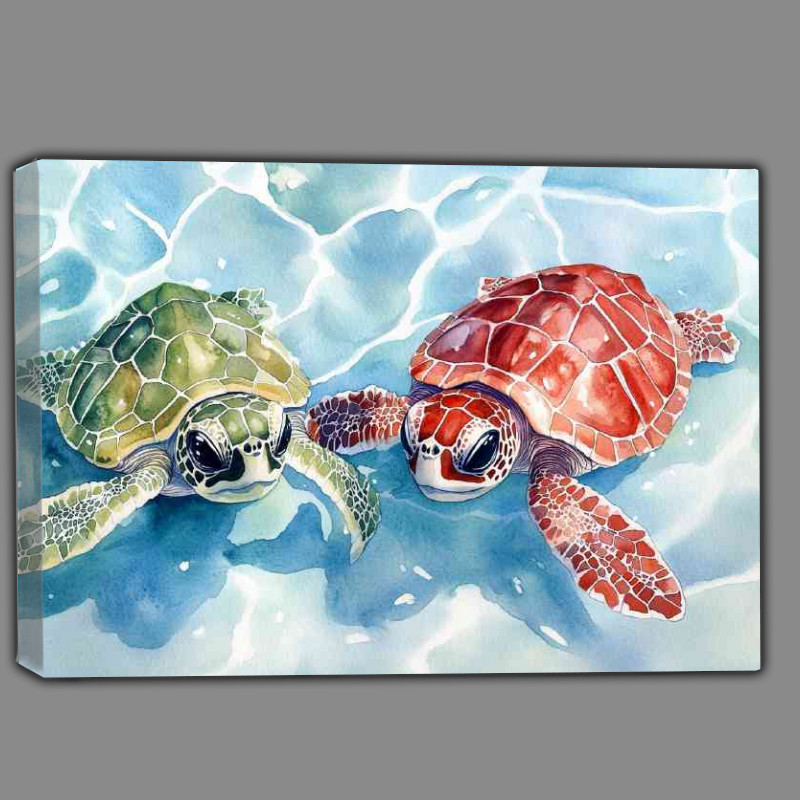 Buy Canvas : (Pair of baby turtles)
