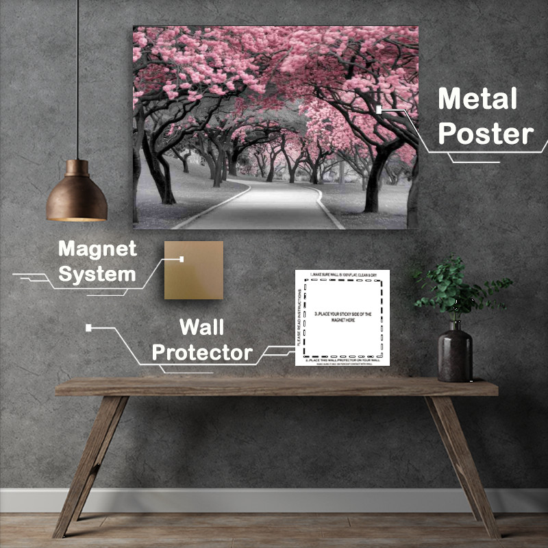 Buy Metal Poster : (Serene park setting dominated by pink blossom trees)