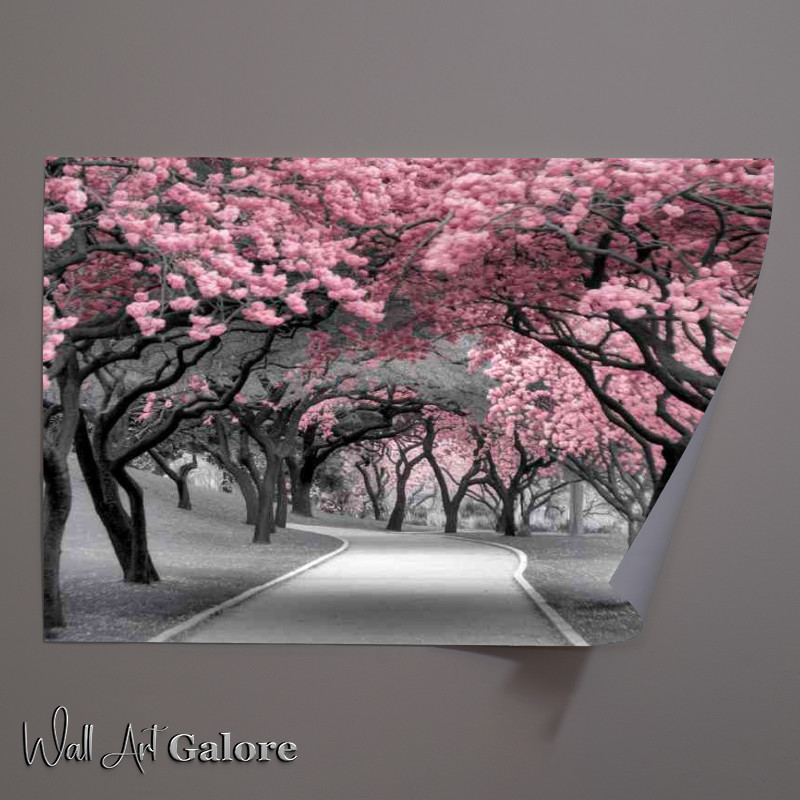 Buy Unframed Poster : (Serene park setting dominated by pink blossom trees)