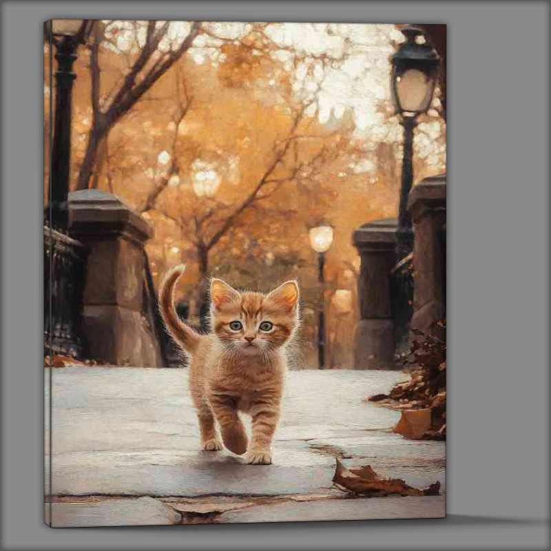 Buy Canvas : (Kitten walks along the road in New Yorks Central Park)