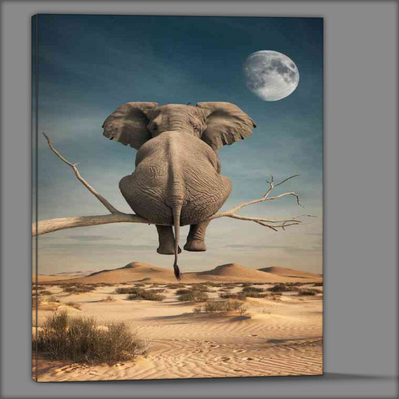 Buy Canvas : (Elephant sitting on a branch)