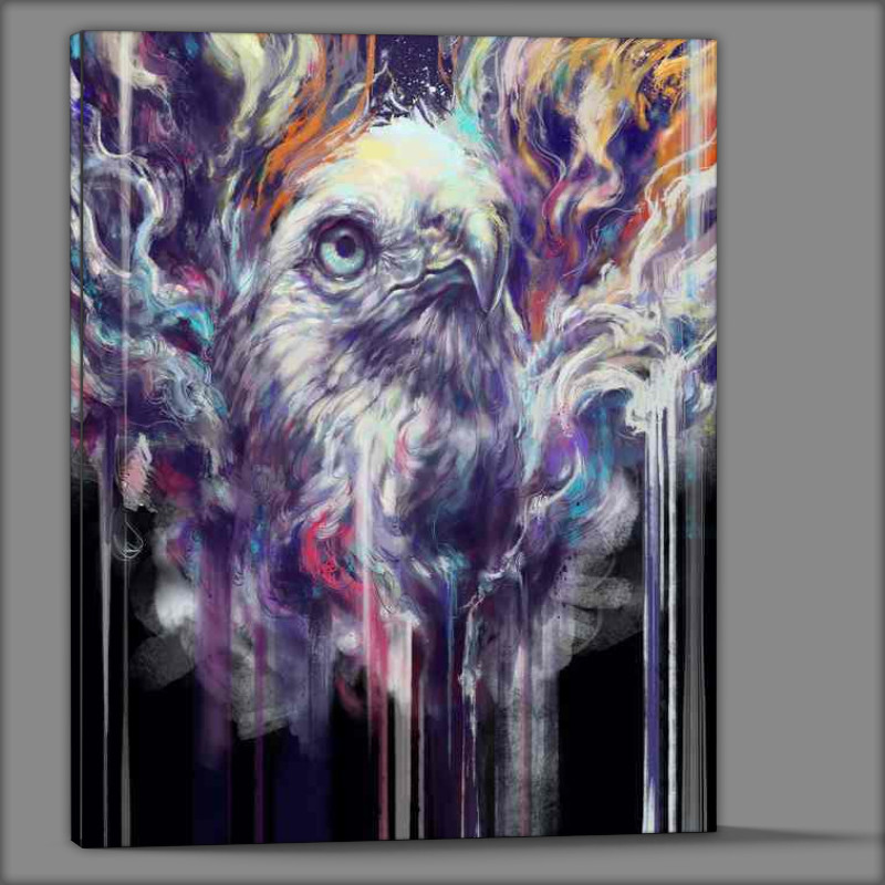 Buy Canvas : (Wild Hues)